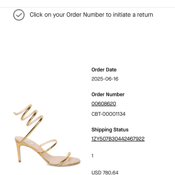 Rene Caovilla Cleo Gold - Picture 7 of 7